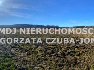 Działka Nowy Kościół