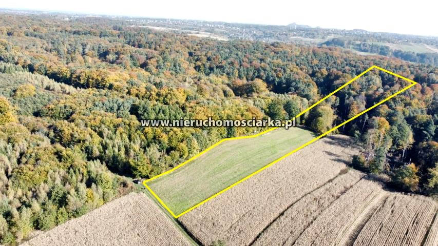 Działka rolna Syrynia