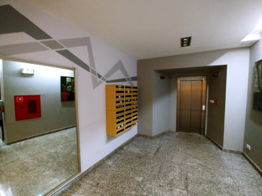 Lokal Opole