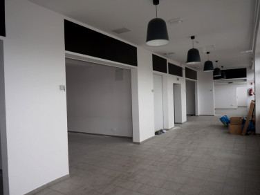 Lokal Gorzów Wielkopolski