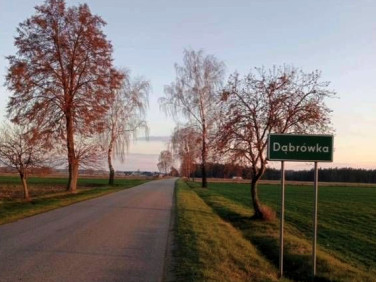 Działka budowlana Dąbrówka