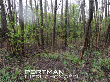 Działka budowlana Lipowo