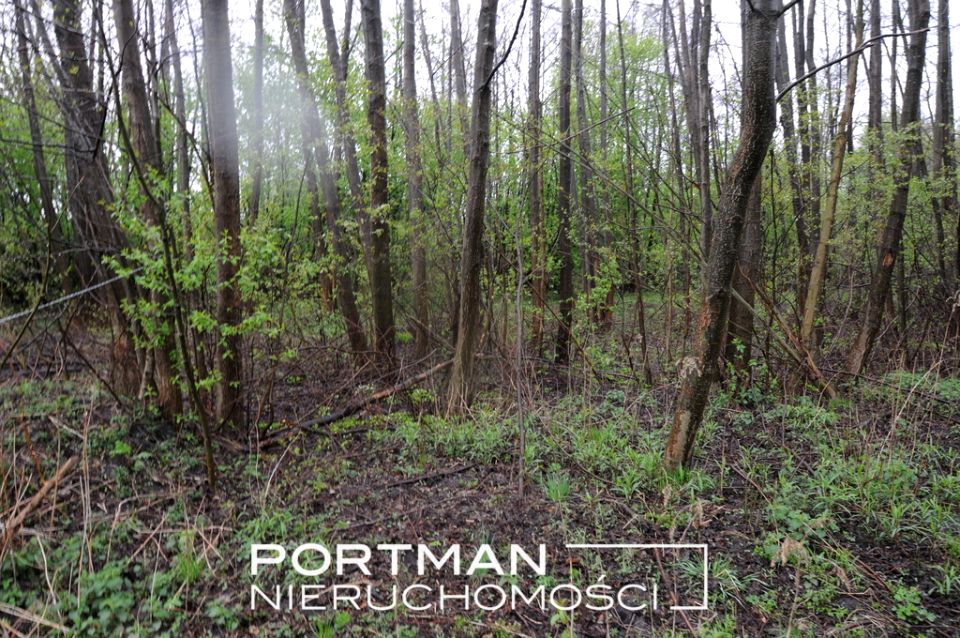 Działka budowlana Lipowo