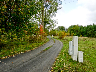 Działka Radziejowice-Parcel