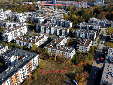 Lokal Warszawa