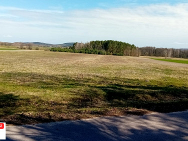 Działka Korczyn
