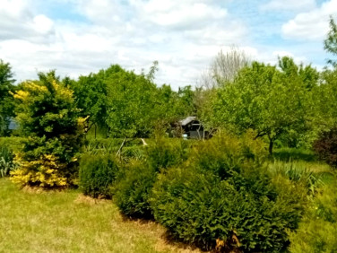 Dom Pierzchnianka sprzedaż