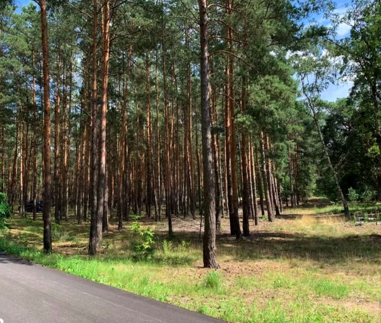 Działka rolno-leśna Nowe Polesie