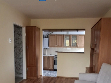 Mieszkanie Polkowice