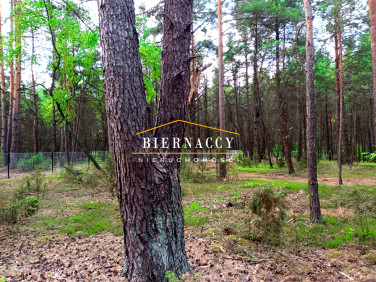 Działka Popowo-Letnisko