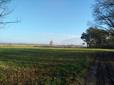 Działka rolna Kędzie