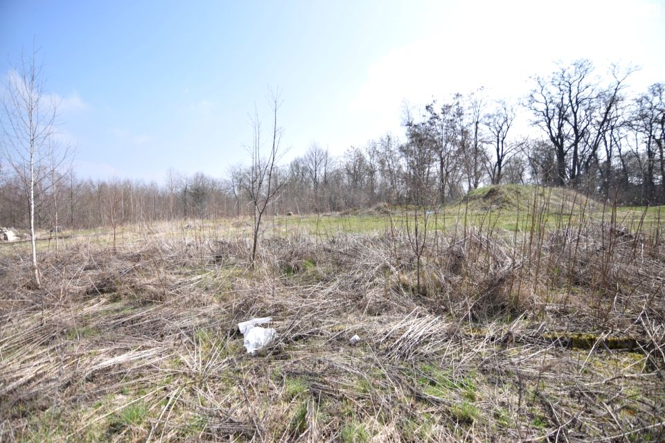 Działka budowlana Dąbrowica