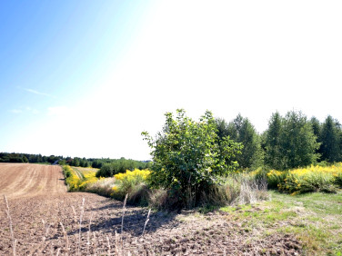 Działka rolna Strzeszkowice Duże