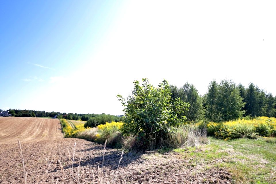 Działka rolna Strzeszkowice Duże