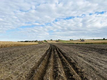 Działka budowlana Proszowice