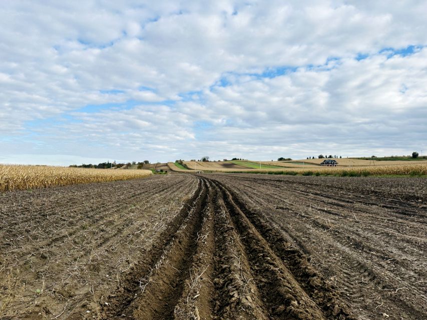 Działka budowlana Proszowice