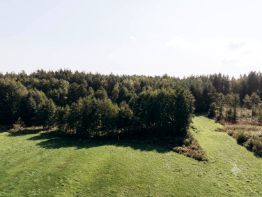 Działka leśna Modzele-Skudosze