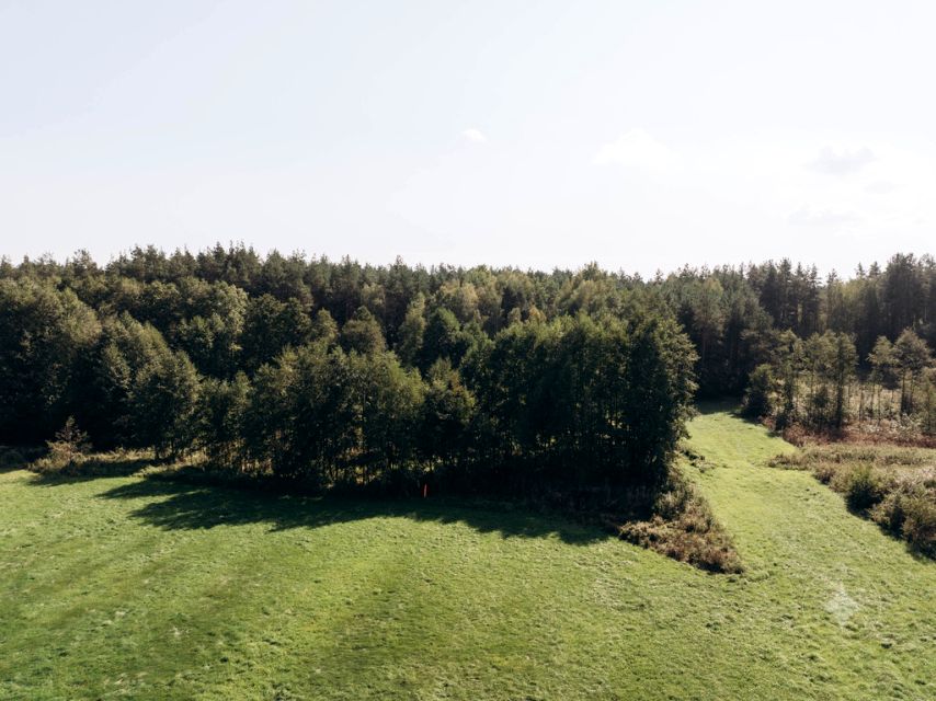 Działka leśna Modzele-Skudosze