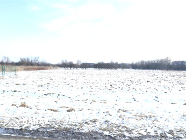 Działka usługowa Kraków