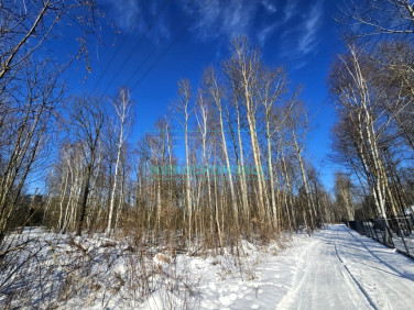 Działka budowlana Budy Michałowskie
