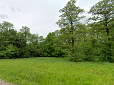 Działka budowlana Milanówek