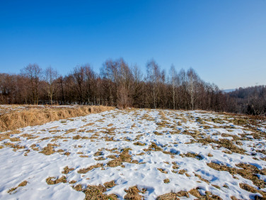 Działka budowlana Koszyce Małe