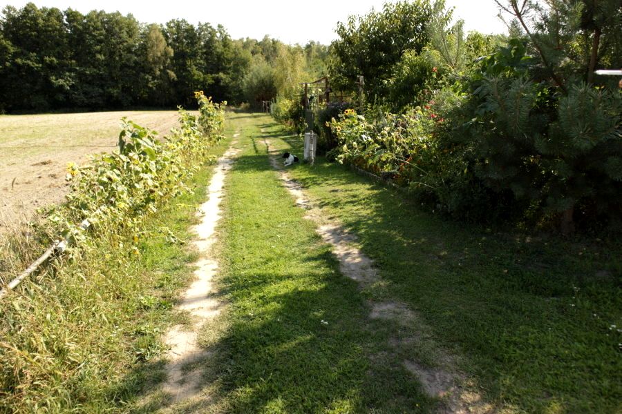 Działka rekreacyjna Lubowo