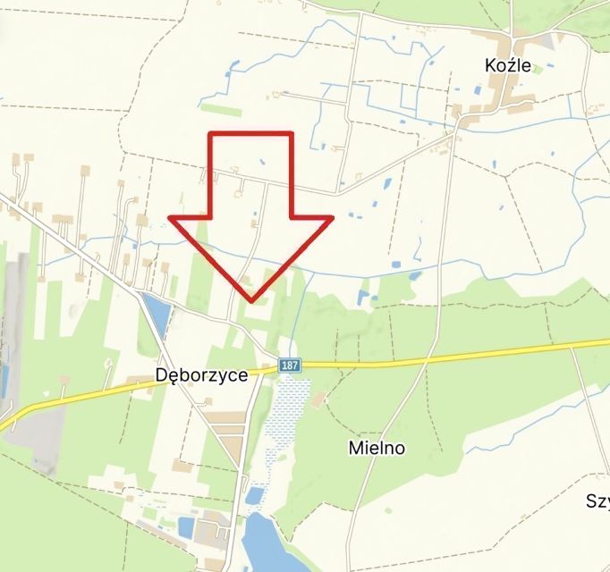 Zdjęcie 3