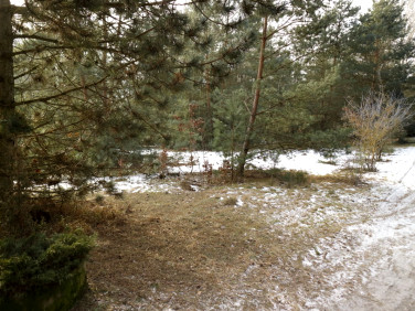 Działka budowlana Nekielka