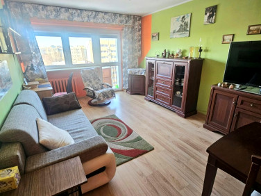 Mieszkanie blok mieszkalny wynajem