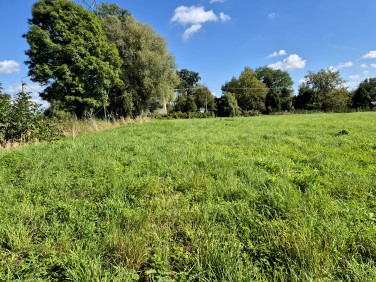 Działka budowlana Drogomyśl