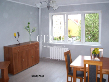 Mieszkanie Myślibórz