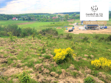 Działka rolna Kębłowo Nowowiejskie