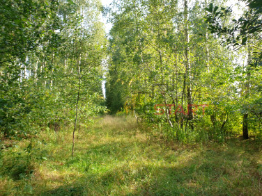 Działka usługowa Nowa Bukówka