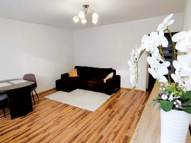 Mieszkanie Zgorzelec