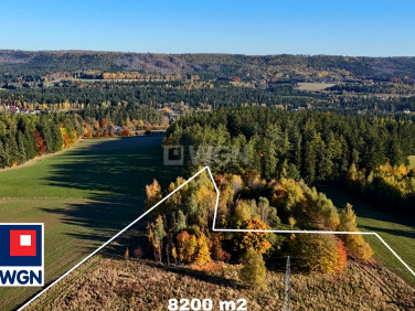 Działka rolna Dolina