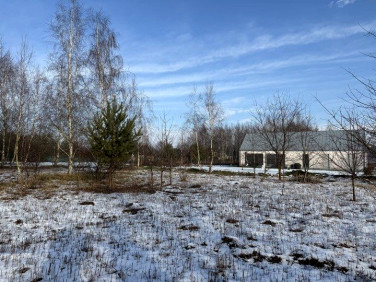 Działka budowlana Miłoszyce