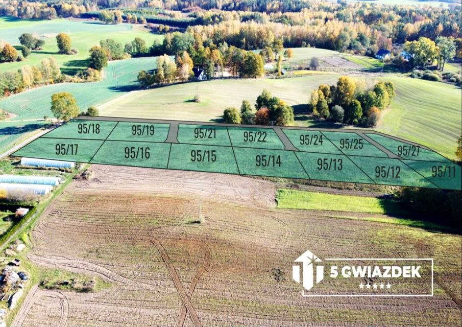 Zdjęcie 2