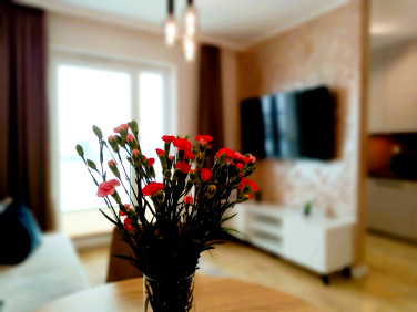 Mieszkanie Ostrołęka