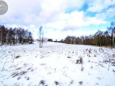 Działka rekreacyjna Michałkowa