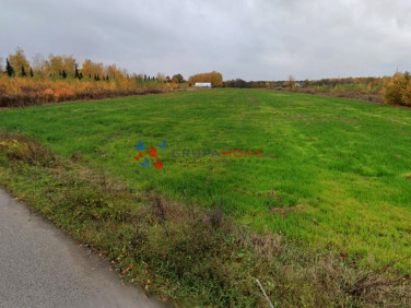 Działka budowlana Wólka Pracka