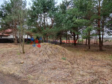 Działka budowlana Łoś sprzedam