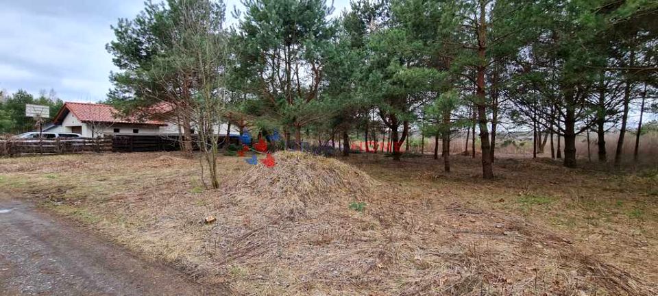 Działka budowlana Łoś sprzedam