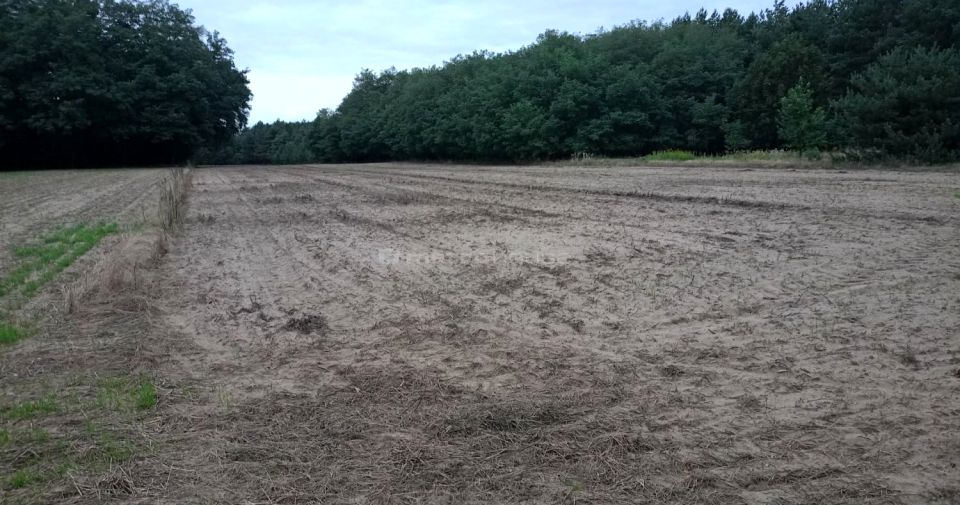 Działka inwestycyjna Tymianka