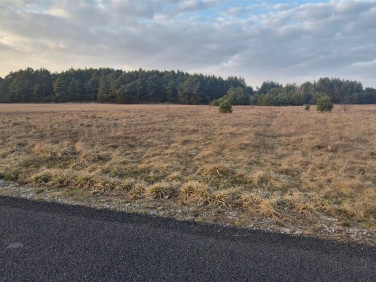 Pusta działka Kowal