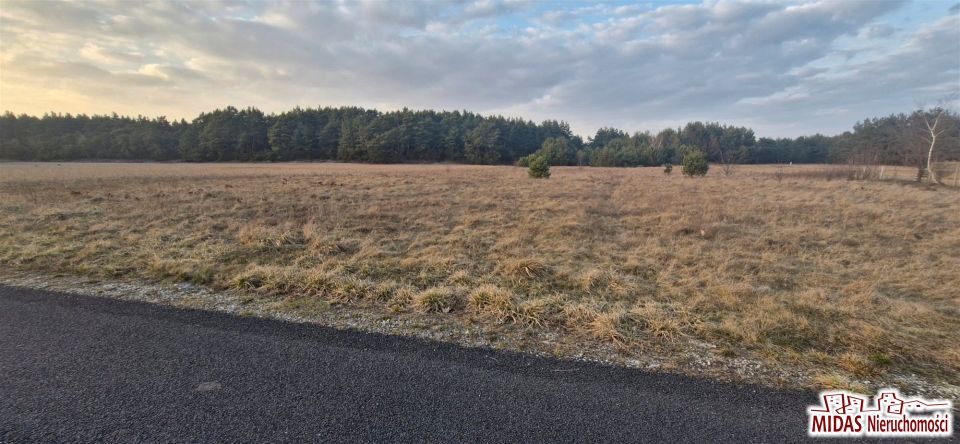 Pusta działka Kowal