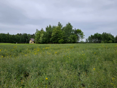 Działka budowlana Głowaczowa
