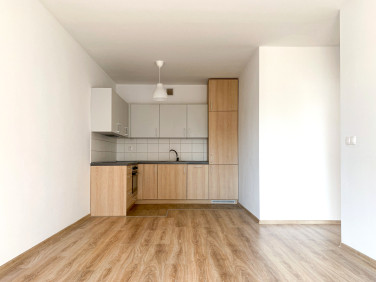 Mieszkanie Baranowo wynajem