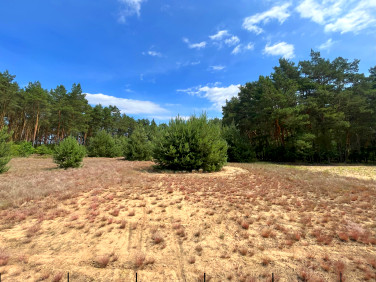 Działka budowlana Straszewo