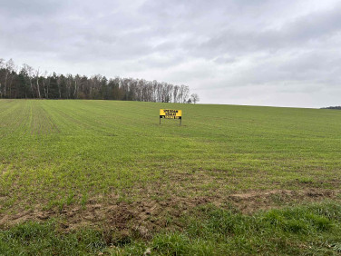 Działka budowlana Laskowo